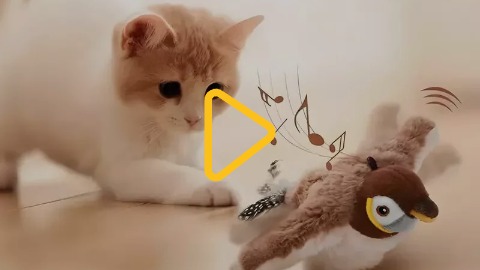 Інтерактивна іграшка для домашніх улюбленців - «Пташка» Інтерактивна іграшка для домашніх улюбленців - «Пташка»